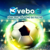 vebozcicc