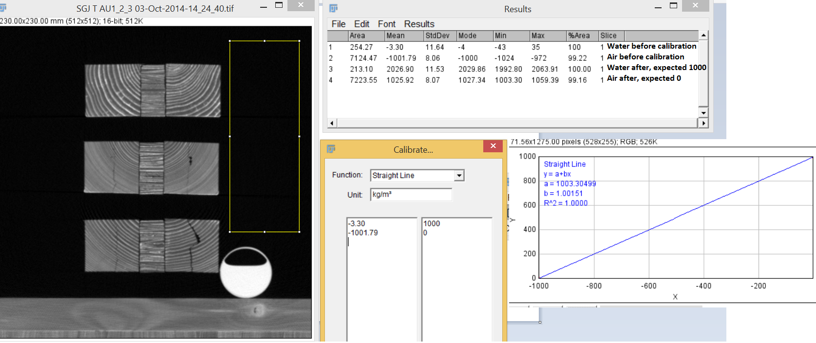 Screenshot of process and results