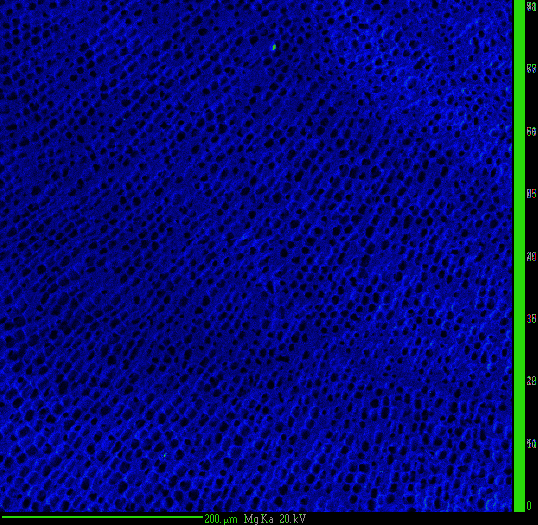 You can see only a small part (blue) of the rainbow LUT colour spectrum is being used!